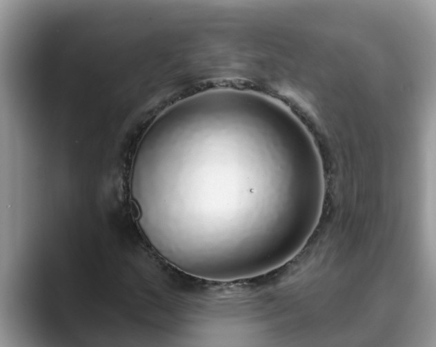 X0000089881159200707051205