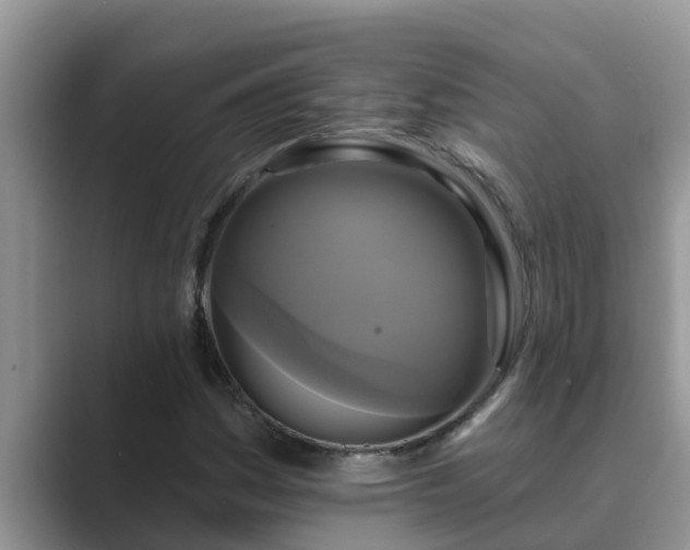 X0000089881161200707051205