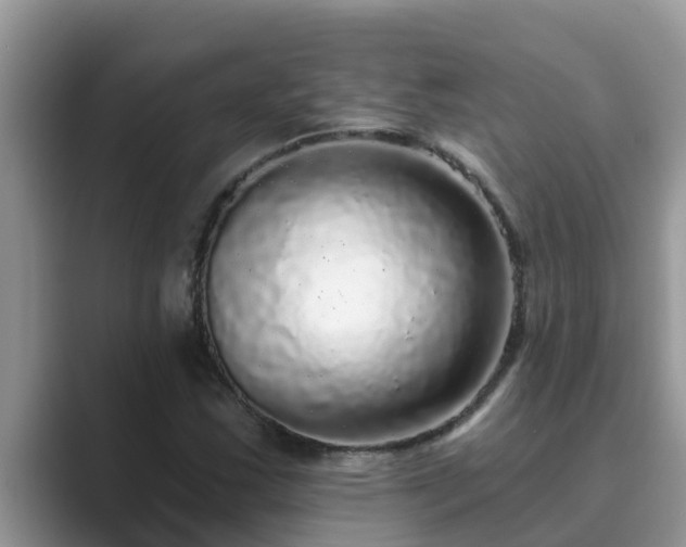 X0000089881163200707051205