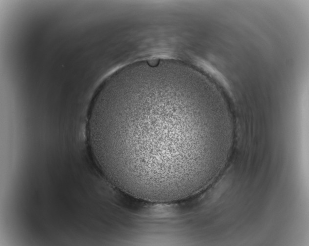 X0000089881166200707051205