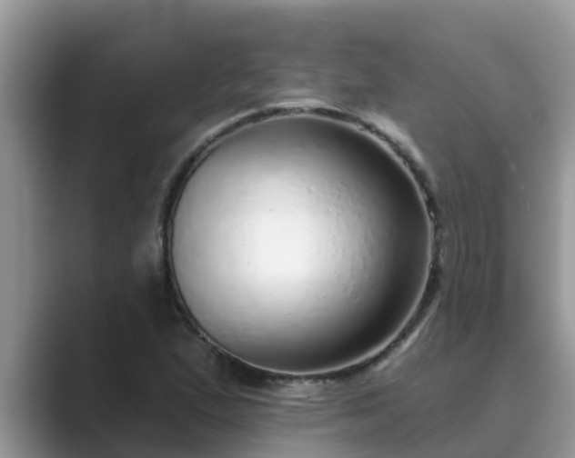 X0000089881167200707051205