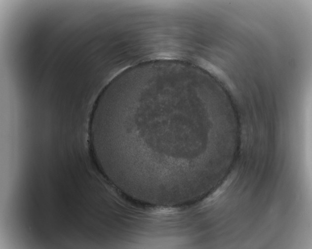 X0000089881170200707051205