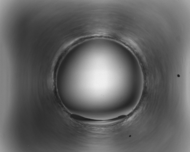 X0000089881172200707051205