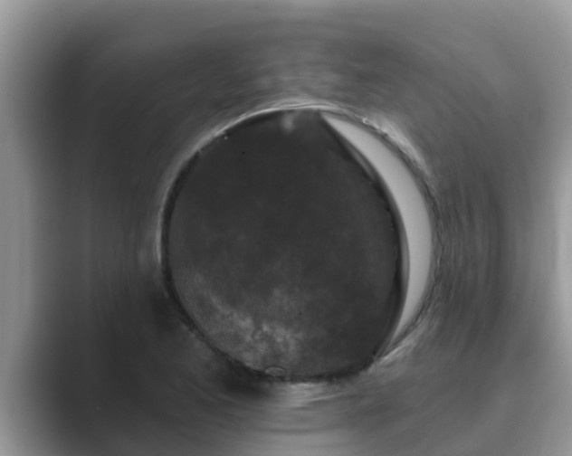 X0000089881173200707051205