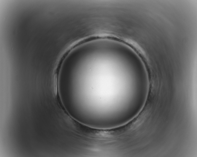 X0000089881175200707051205