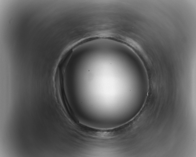 X0000089881176200707051205