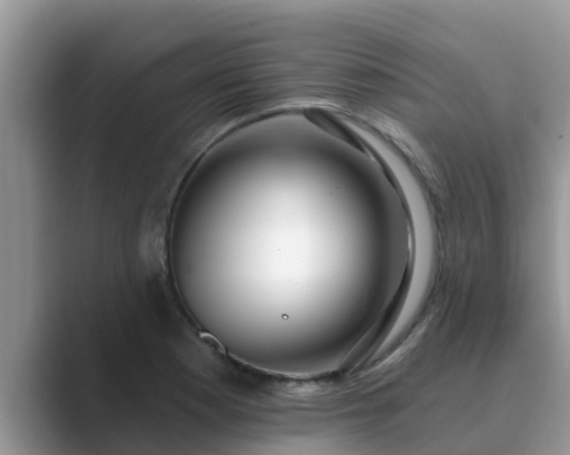 X0000089881177200707051205