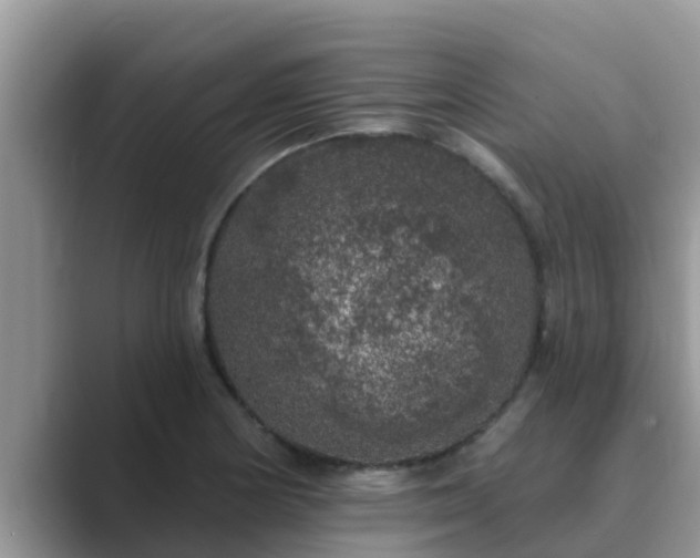 X0000089881178200707051204