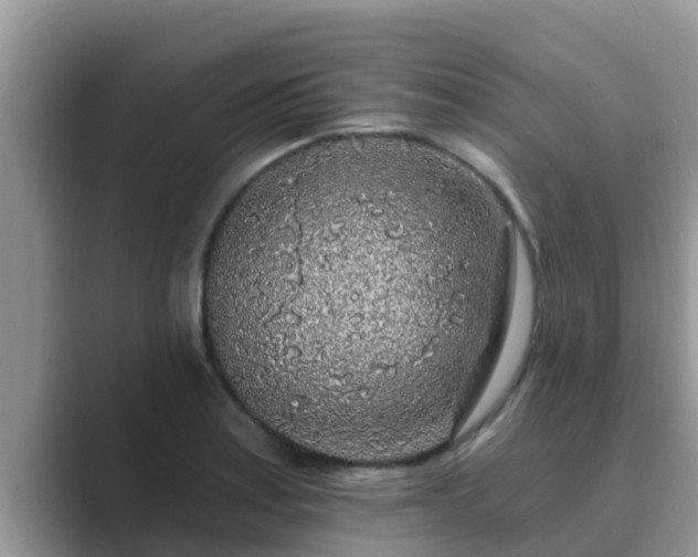 X0000089881179200707051204