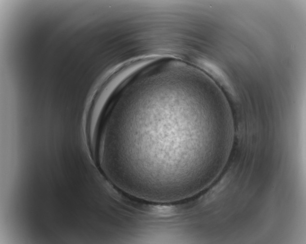 X0000089881180200707051204