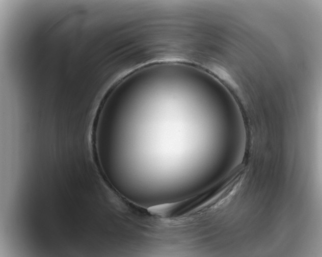 X0000089881181200707051204