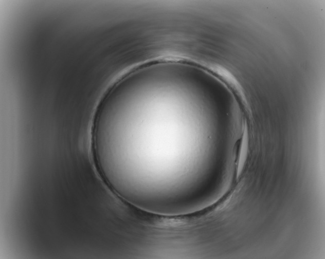 X0000089881183200707051204