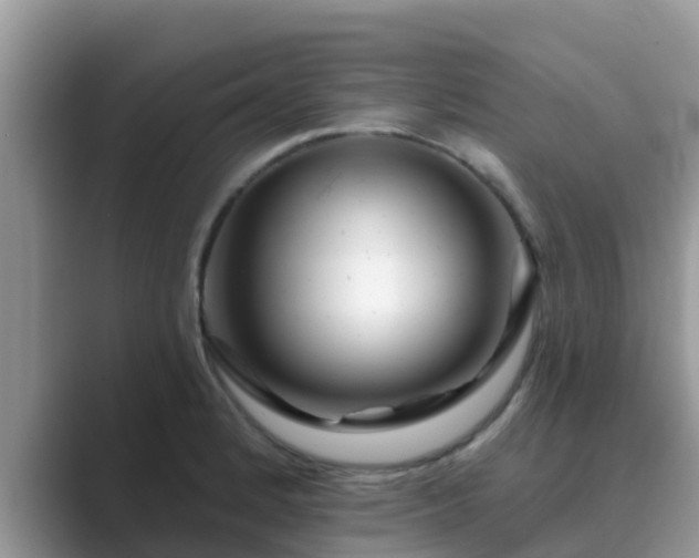 X0000089881184200707051204