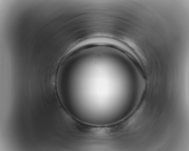 X0000089881185200707051204