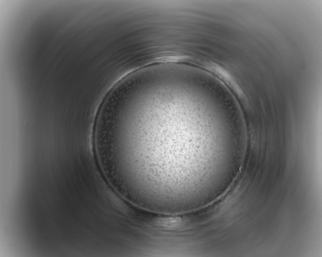 X0000089881186200707051204