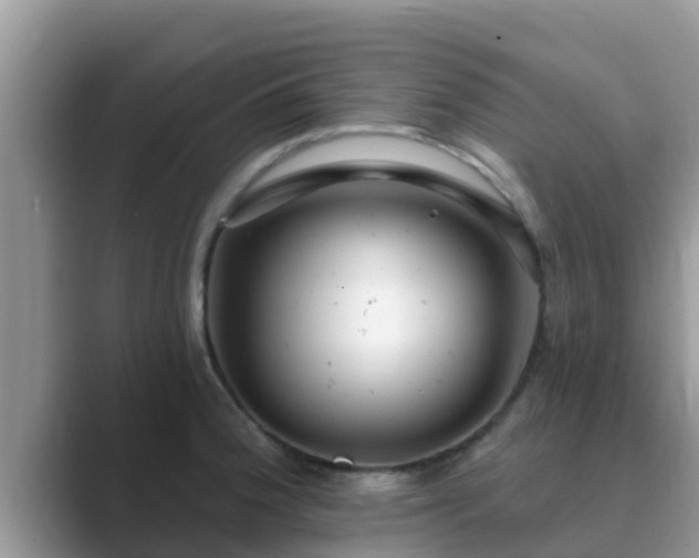 X0000089881188200707051204