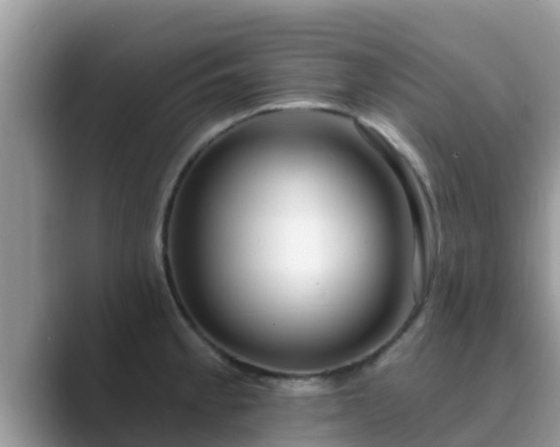 X0000089881189200707051204