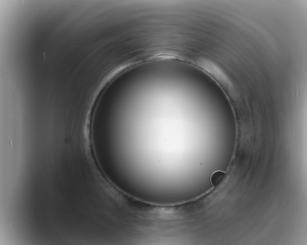 X0000089881190200707051204