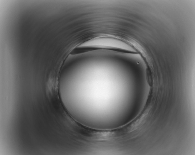 X0000089881193200707051204