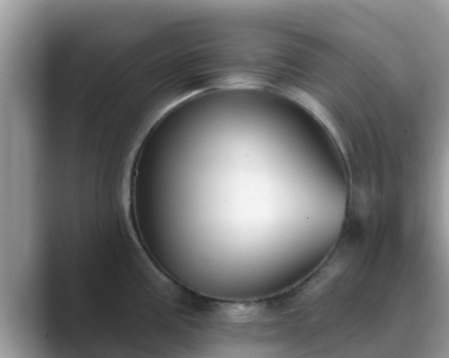 X0000089881195200707051204