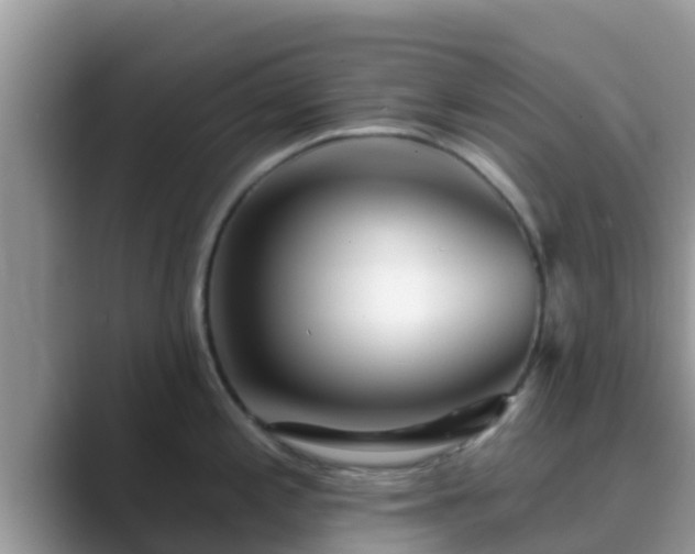 X0000089881197200707051204