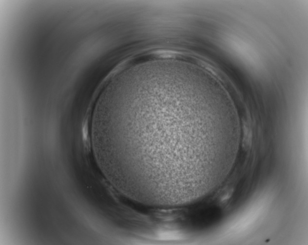 X0000089881198200707051204