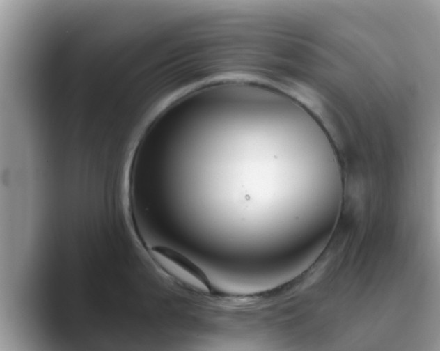 X0000089881199200707051204