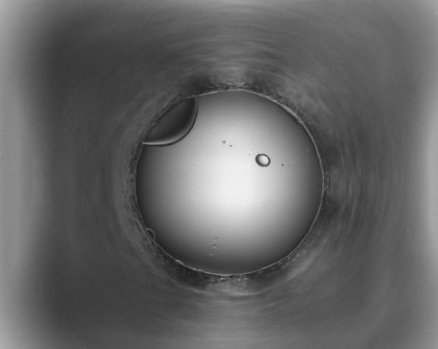 X0000089881201200707051204