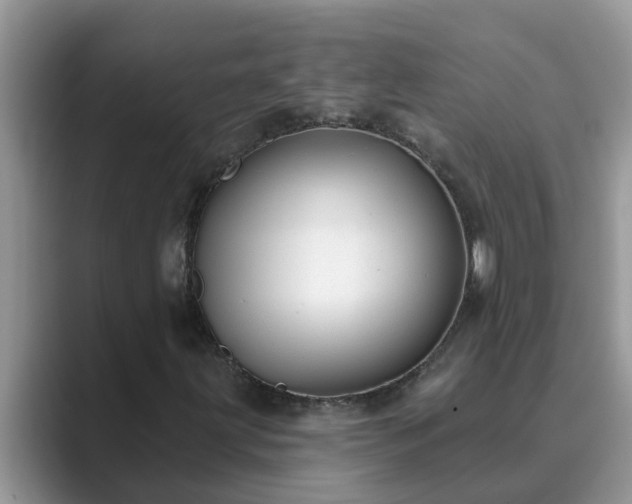 X0000089881203200707051204