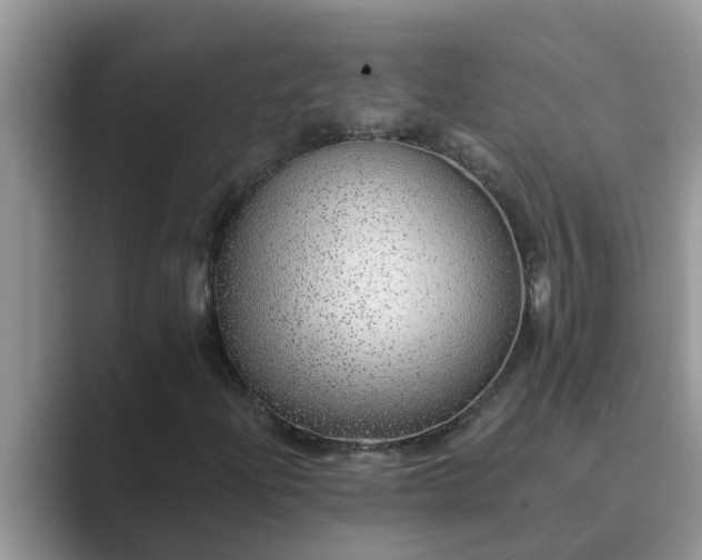 X0000089881204200707051204