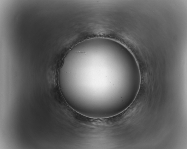 X0000089881205200707051204