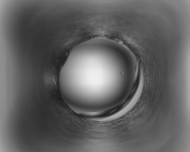 X0000089881206200707051204