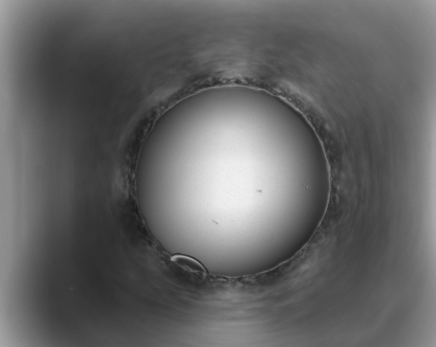 X0000089881207200707051204