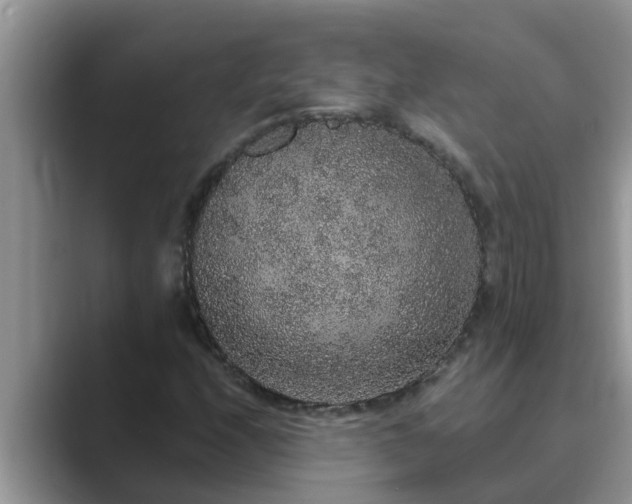 X0000089881208200707051204