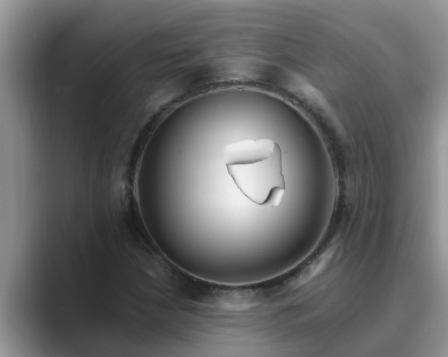 X0000089881210200707051204