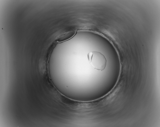 X0000089881211200707051204