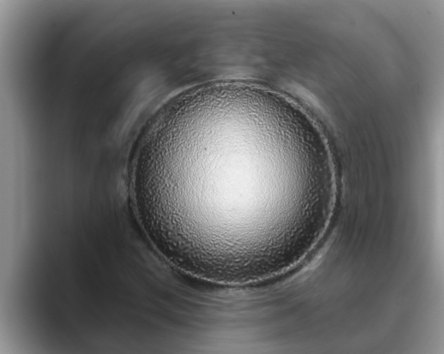 X0000089881212200707051204