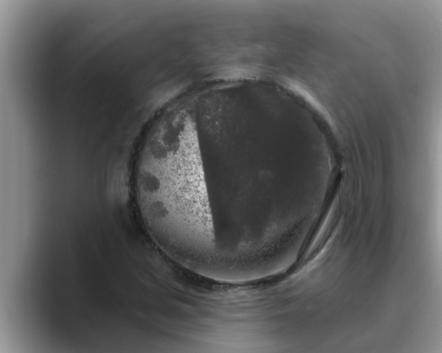 X0000089881213200707051204