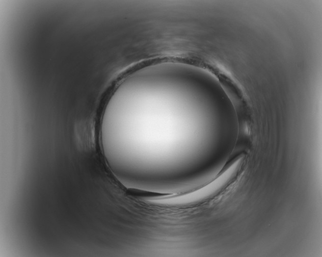 X0000089881214200707051204