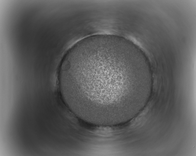 X0000089881215200707051204