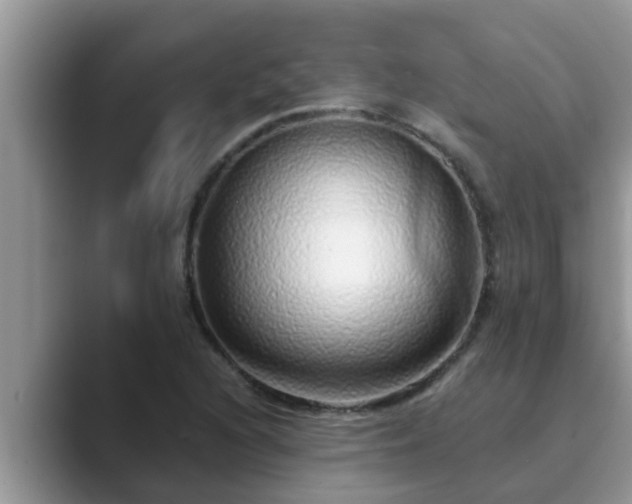 X0000089881216200707051204