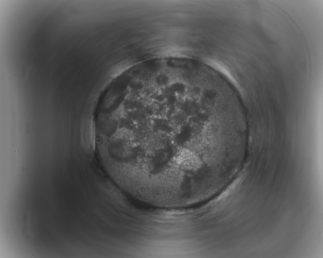 X0000089881219200707051204