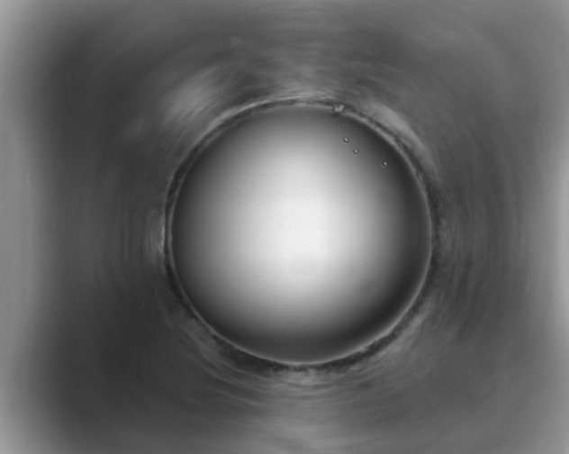 X0000089881220200707051204