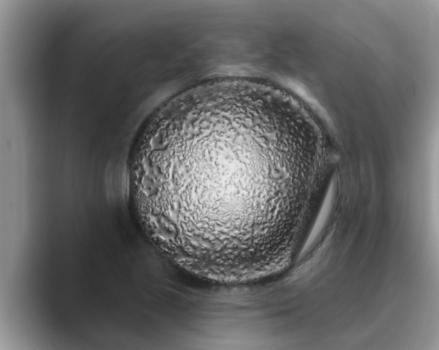 X0000089881221200707051204