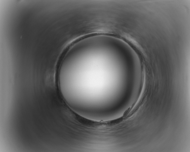 X0000089881222200707051204