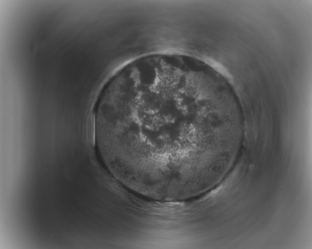 X0000089881223200707051204