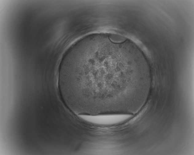 X0000089881224200707051204