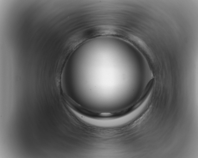 X0000089881225200707051204