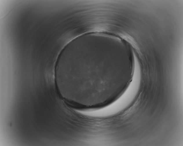 X0000089881226200707051204