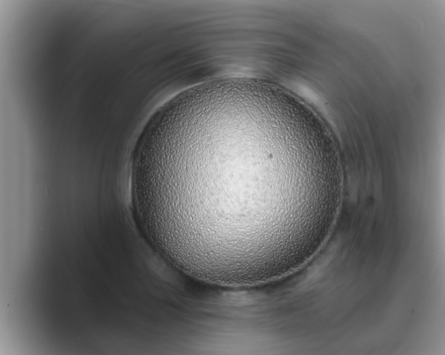 X0000089881227200707051204